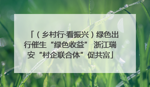 （乡村行·看振兴）绿色出行催生“绿色收益” 浙江瑞安“村企联合体”促共富