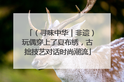 （寻味中华｜非遗）玩偶穿上了夏布绣，古拙技艺对话时尚潮流