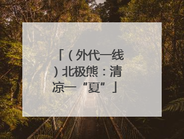 （外代一线）北极熊：清凉一“夏”