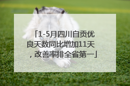 1-5月四川自贡优良天数同比增加11天，改善率排全省第一