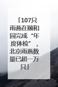 107只雨燕在颐和园完成“年度体检”，北京雨燕数量已超一万只