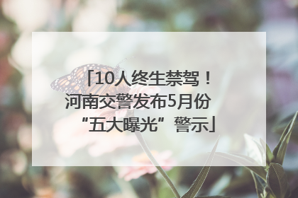 10人终生禁驾！河南交警发布5月份“五大曝光”警示