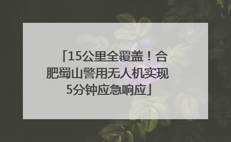 15公里全覆盖！合肥蜀山警用无人机实现5分钟应急响应