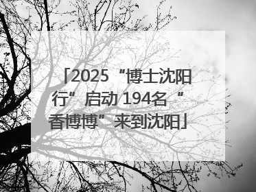 2025“博士沈阳行”启动 194名“香博博”来到沈阳