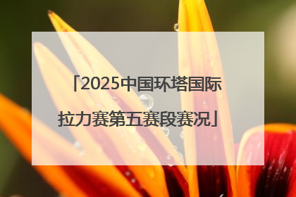 2025中国环塔国际拉力赛第五赛段赛况
