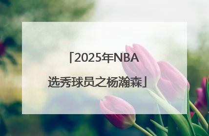 2025年NBA选秀球员之杨瀚森