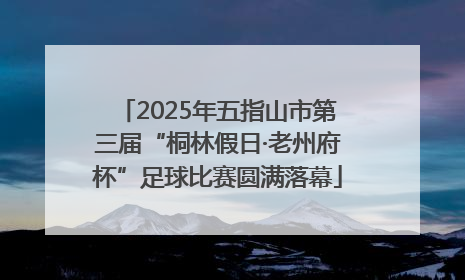 2025年五指山市第三届“桐林假日·老州府杯”足球比赛圆满落幕