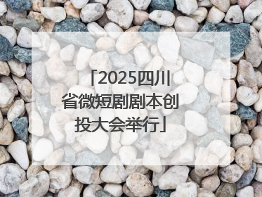 2025四川省微短剧剧本创投大会举行