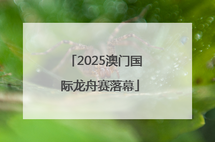 2025澳门国际龙舟赛落幕