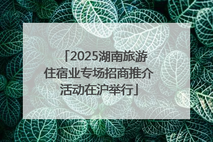 2025湖南旅游住宿业专场招商推介活动在沪举行