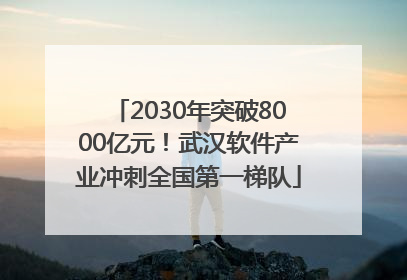 2030年突破8000亿元！武汉软件产业冲刺全国第一梯队