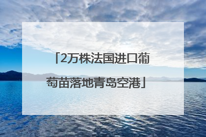 2万株法国进口葡萄苗落地青岛空港