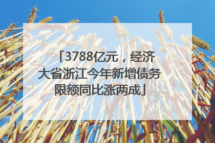 3788亿元，经济大省浙江今年新增债务限额同比涨两成