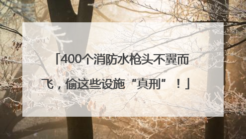400个消防水枪头不翼而飞，偷这些设施“真刑”！