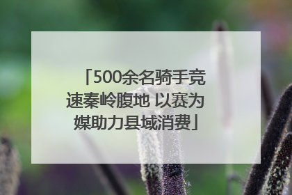 500余名骑手竞速秦岭腹地 以赛为媒助力县域消费
