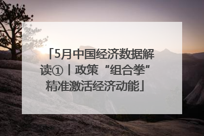 5月中国经济数据解读①丨政策“组合拳”精准激活经济动能