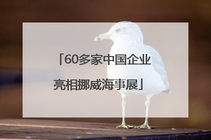60多家中国企业亮相挪威海事展