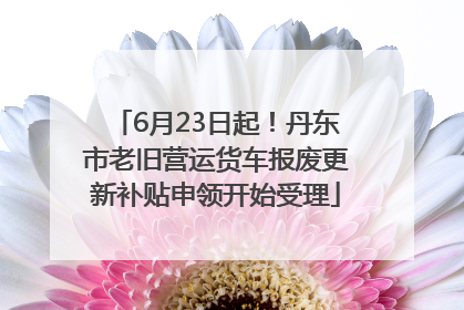 6月23日起！丹东市老旧营运货车报废更新补贴申领开始受理