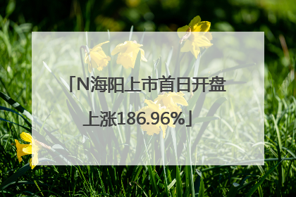 N海阳上市首日开盘上涨186.96%